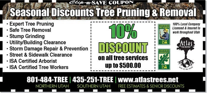 Tree Pruning Southern Utah
