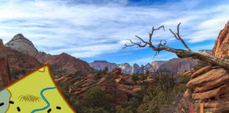Hiking Southern Utah: Overlook Trail in Zion Canyon