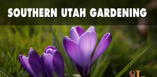 Southern Utah Gardening: The time has come to fertilize your lawn and garden