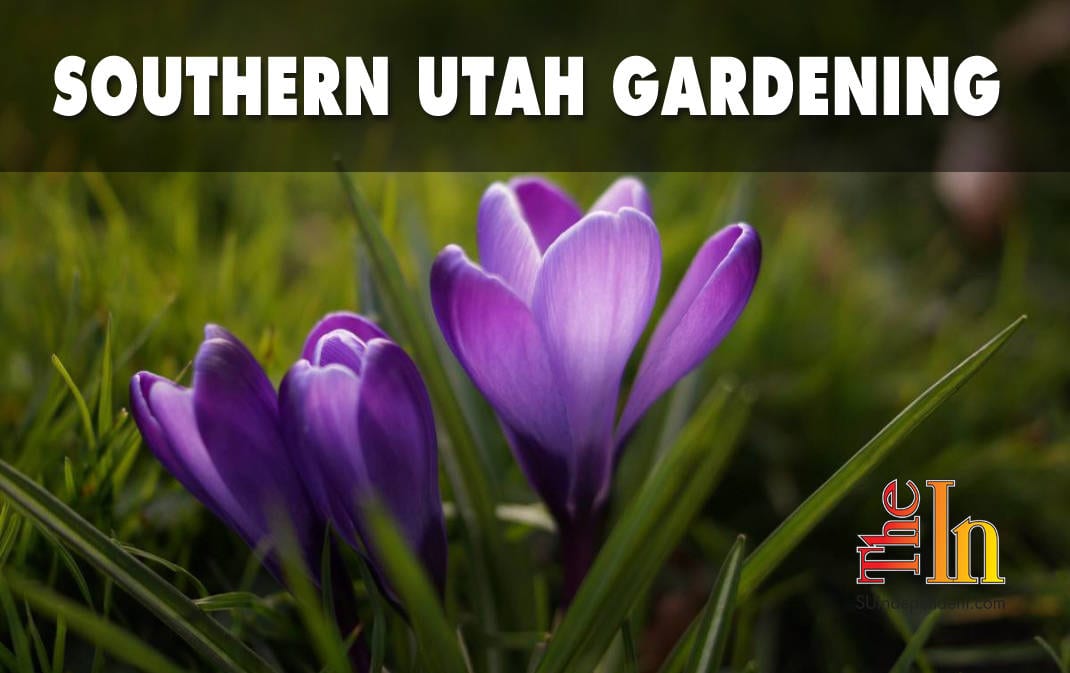 Southern Utah Gardening: The time has come to fertilize your lawn and garden
