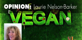 The inconvenience of being vegan inconvenience of being vegan