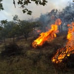 BLM conducts pile burns south of St. George BLM pile burns St. George