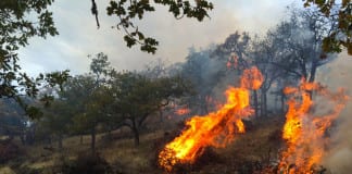 BLM conducts pile burns south of St. George BLM pile burns St. George