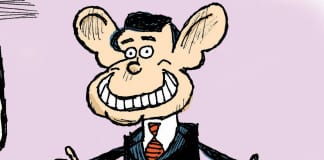 CARTOON: “The Incredible Shrinking Rubio” political cartoon Marco Rubio