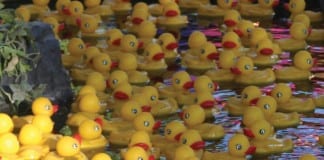 Mesquite Chamber of Commerce presents Ducky Derby Mesquite Duck Derby