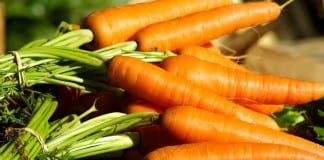 Southern Utah Gardening: It’s time to plant carrots in your southern Utah garden
