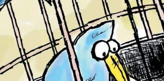 CARTOON: “Republican Loyalty” political cartoon Republican loyalty pledge