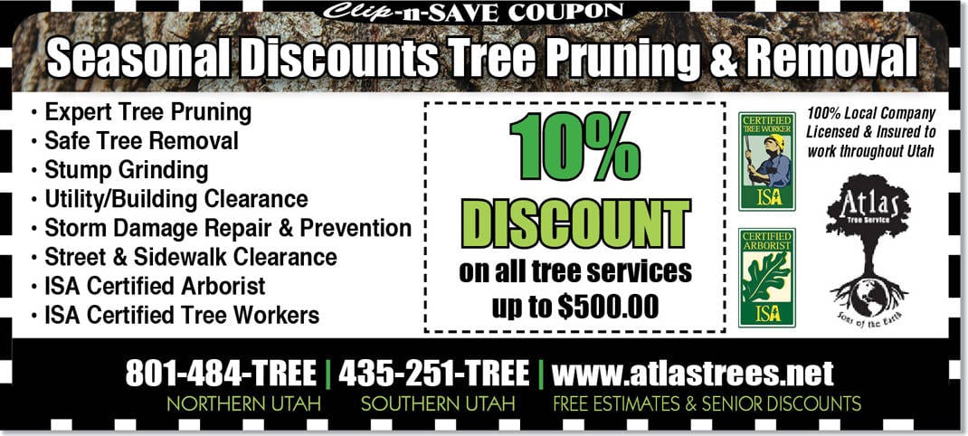 Tree Removal Utah