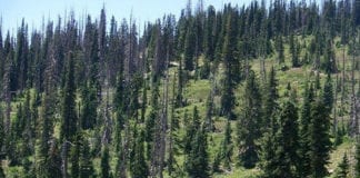 Frontier Homestead State Park hosts plein air exhibit Frontier Homestead State Park Plein Air Exhibit