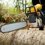 Utah tree removal | 10 percent off at Atlas Tree Service in January Tree Removal Utah