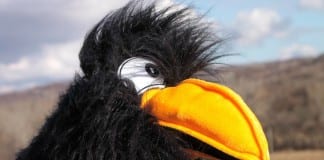 Bumbleberry Theater hosts puppet show Bumbleberry Theater puppet show