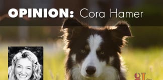 Susie’s story susie's story