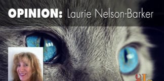 We need a Washington County Animal Shelter Washington County Animal Shelter