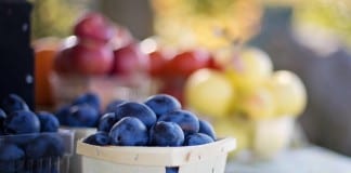 St. George farmers market begins May 14 St. George farmers market