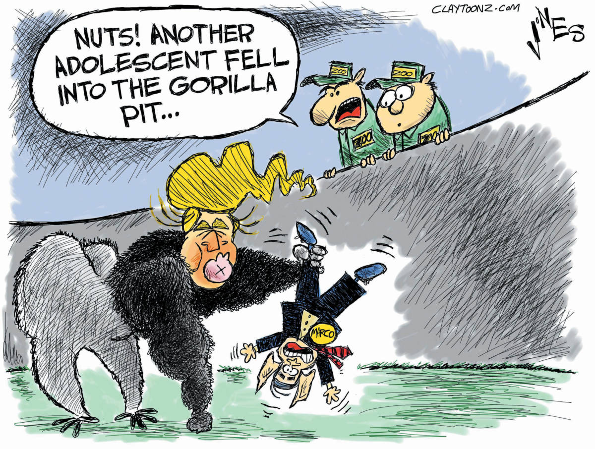 Marco Rubio Donald Trump political cartoon