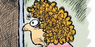 CARTOON: “Scary Berners” Bernie Sanders Nevada Democratic Convention political cartoon