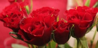 St. George Utah Florist | Mother’s Day: Sunday May 8 |Desert Rose Floral