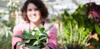 SUU greenhouse plant sale continues through the end of May SUU greenhouse plant sale