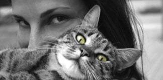 P.A.W.S. receives litter donation from sWheat Scoop P.A.W.S. receives litter donation from sWheat Scoop