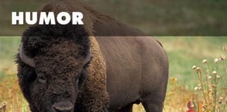 DSU Trailblazers blaze trails in trailblazing Dixie State University DSU Trailblazers