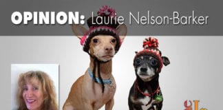 Why the SunRiver Pet Festival matters SunRiver Pet Festival