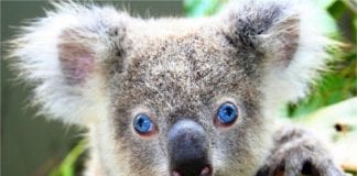 Your Weekly Horoscope