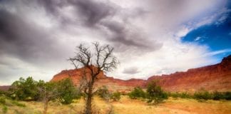 Southern Utah Weekend Events Guide: May 12-15 Southern Utah Weekend Events Guide: May 12-15