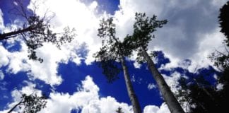 Southern Utah Weekend Events Guide: June 23–26 southern utah weekend events guide