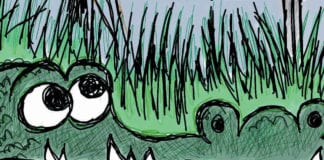 CARTOON: “Beware Of tourists” Disney alligator political cartoon