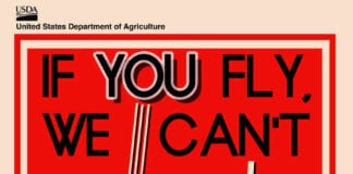 Forest Service announces mandatory evacuation for Saddle Fire Saddle Fire