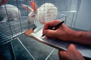 cruelty-free cosmetics animal testing