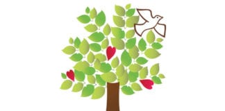 Utah, stop closing your eyes to rape culture rape culture dove center