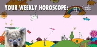 Your Weekly Horoscope Trippy Koala Weekly Horoscope