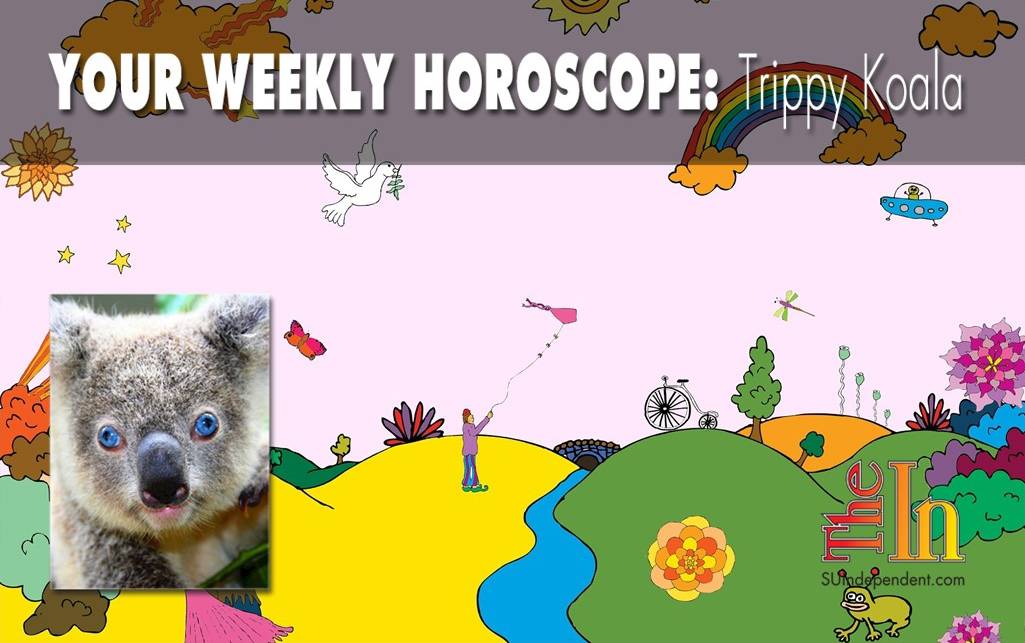 Trippy Koala Weekly Horoscope