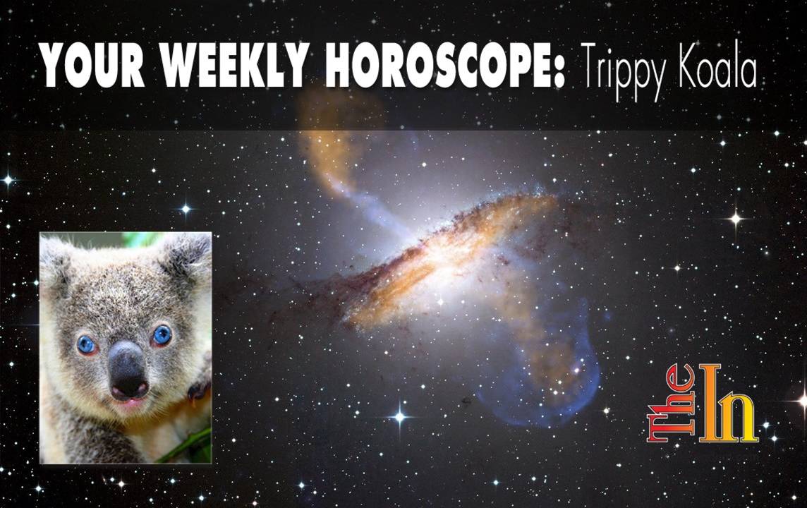 Your weekly Horoscope Trippy Koala