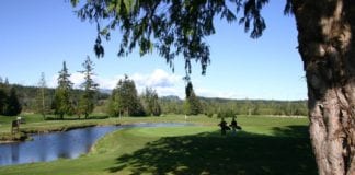 While we are young While we are young golf