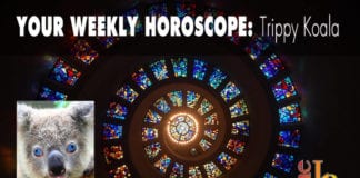 Your Weekly Horoscope Weekly Horoscope by Trippy Koala