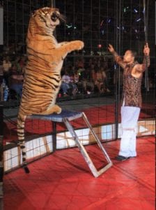 Washington County Fair circus animal welfare James and Cristy Cole Circus