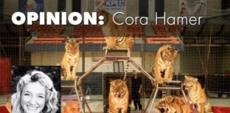 Washington County Fair’s James and Cristy Cole Circus raises circus animal welfare concerns Washington County Fair circus animal welfare James and Cristy Cole Circus