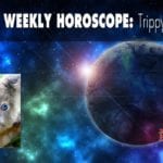 Your weekly Horoscope Trippy Koala