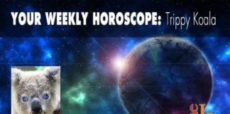 Your Weekly Horoscope Your weekly Horoscope Trippy Koala