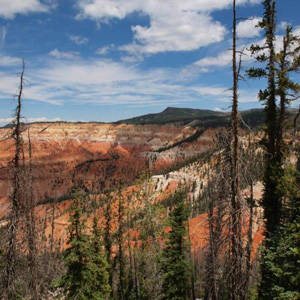 Southern Utah Weekend Events features: Michael Plyler courtesy of zionpark.org_0