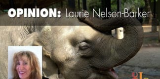 Maybe you will go to the Washington County Fair Washington County Fair