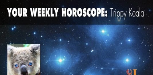 Your Weekly Horoscope Trippy Koala