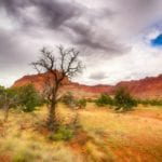 Southern Utah Weekend Events Guide: Aug. 11–13