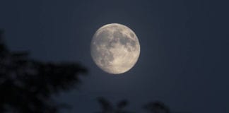 Escalante Canyons Art Festival features moonlight painting Escalante Canyons Art Festival features moonlight painting