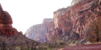 Southern Utah Weekend Events Guide: Sept. 29–Oct. 2 southern utah weekend events: national-park-86807_1920