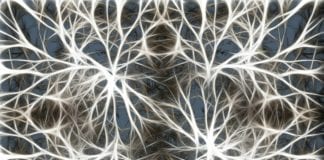 David C. Somers presents lecture on brain research at Dixie Forum David C. Somers presents lecture on brain research at Dixie Forum