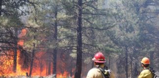 Burning planned near Yellow John Mountain Burning planned near Yellow John Mountain