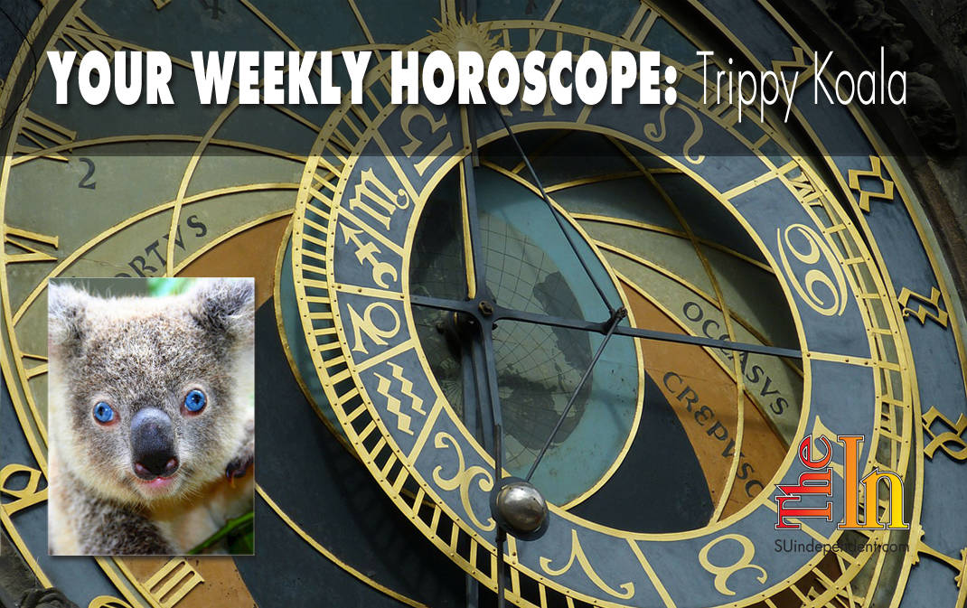 weekly horoscope Trippy Koala